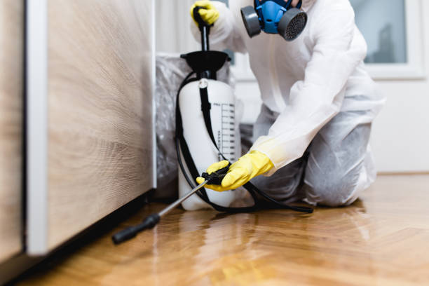Flea Control Services in Meadowlakes, TX