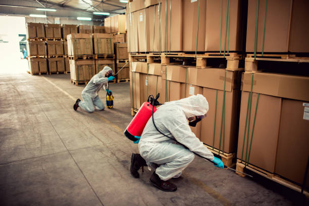 Best Mosquito Control Services  in Meadowlakes, TX