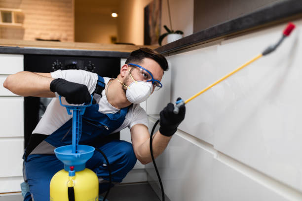Best Flea Control Services  in Meadowlakes, TX