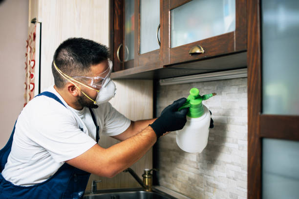 Best Best Pest Control Companies  in Meadowlakes, TX