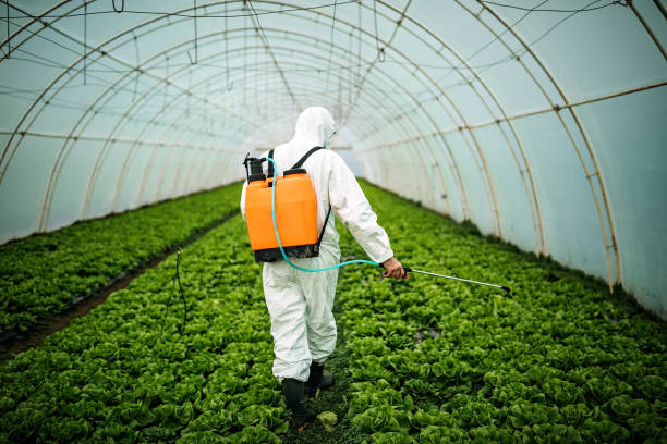 Best Pest Prevention Services  in Meadowlakes, TX