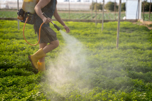 Best Wildlife Control Services  in Meadowlakes, TX