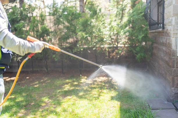 Best Wildlife Control Services  in Meadowlakes, TX