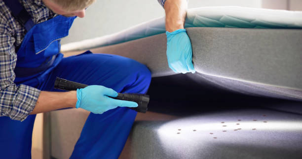 Best Residential Pest Control  in Meadowlakes, TX