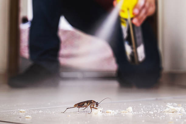 Best Commercial Pest Control Services  in Meadowlakes, TX