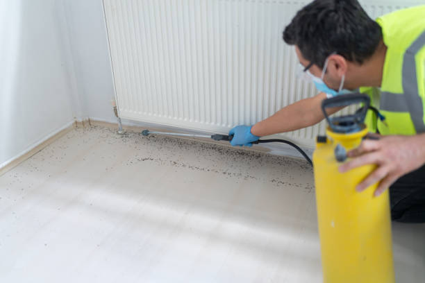 Best Pest Control Near Me  in Meadowlakes, TX