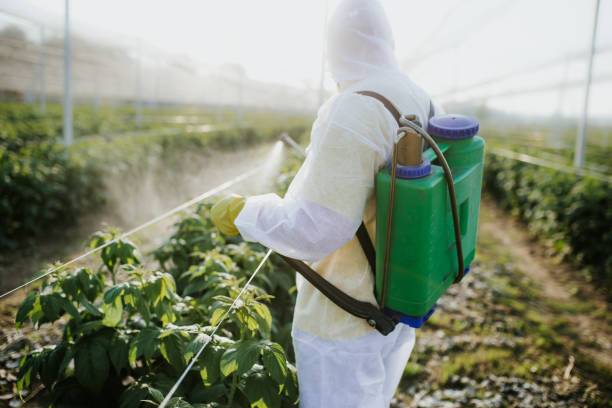 Best Cockroach Control Services  in Meadowlakes, TX